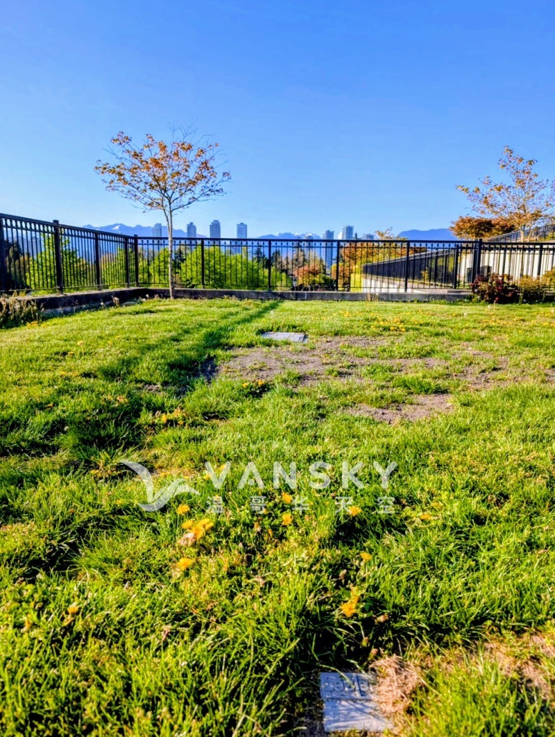 260217190021_burial plot north.jpg